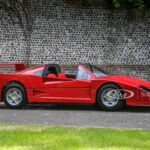 f40 junior by f-racer